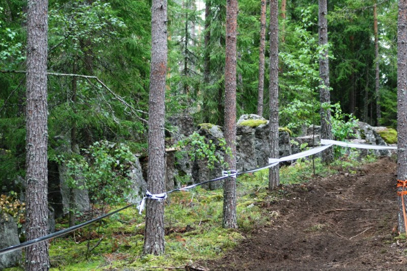 ISDE_Days_5