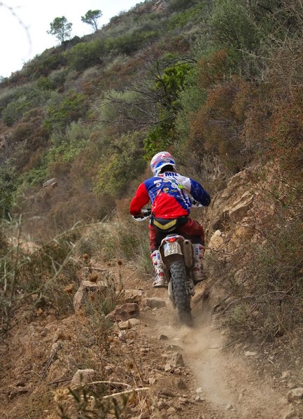 ISDE_SARDINA_2013