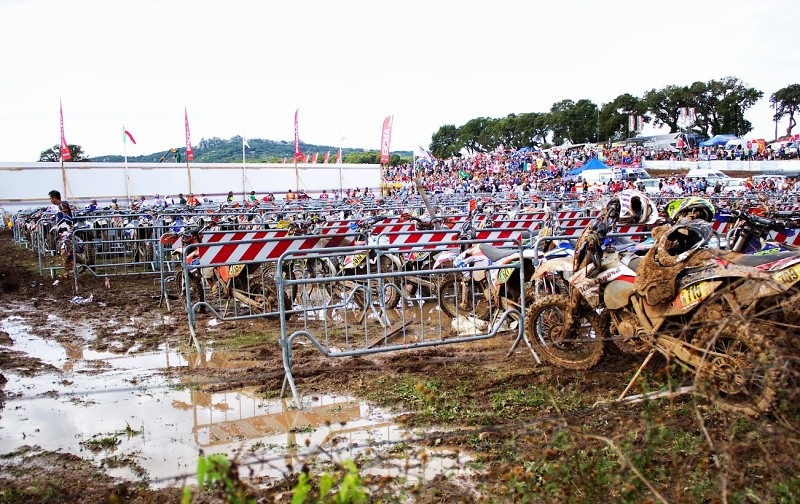 ISDE_SARDINA_2013