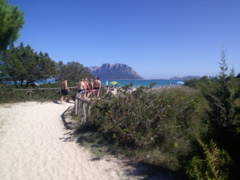 ISDE_SARDINA_2013