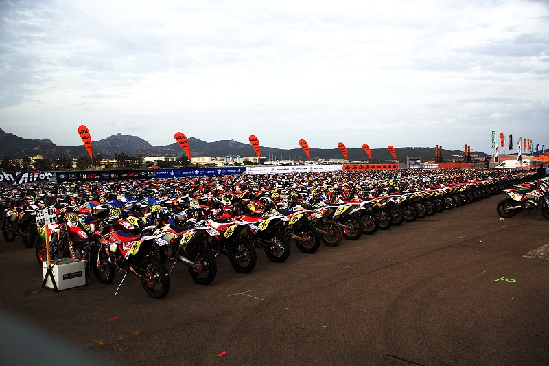 ISDE_SARDINA_2013