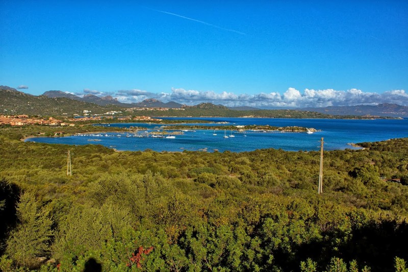 ISDE_SARDINA_2013