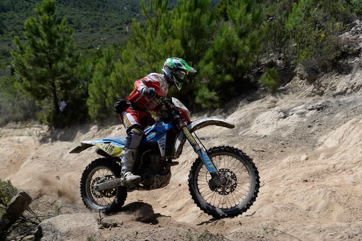 ISDE_SARDINA_2013