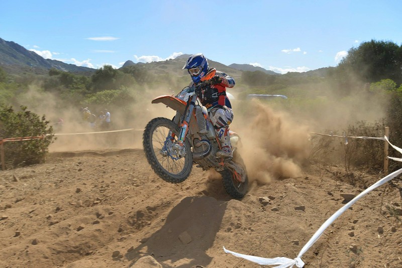 ISDE_SARDINA_2013