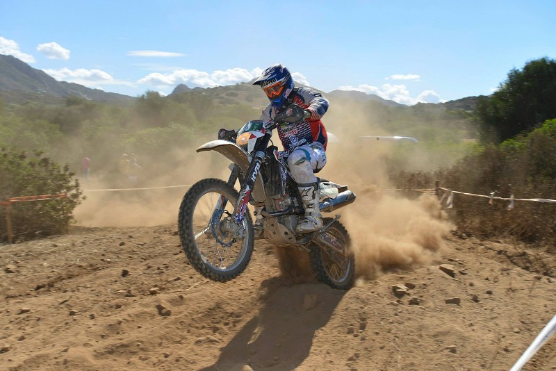 ISDE_SARDINA_2013