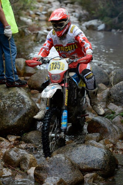 ISDE_SARDINA_2013