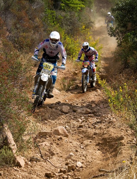 ISDE_SARDINA_2013