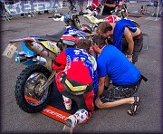 ISDE_SARDINA_OLBIA_2013