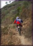 ISDE_SARDINA_OLBIA_2013