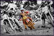 ISDE_SARDINA_OLBIA_2013