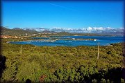ISDE_SARDINA_OLBIA_2013
