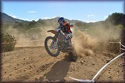 ISDE_SARDINA_OLBIA_2013