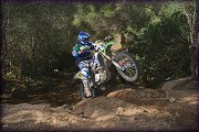 ISDE_SARDINA_OLBIA_2013