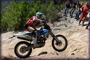 ISDE_SARDINA_OLBIA_2013
