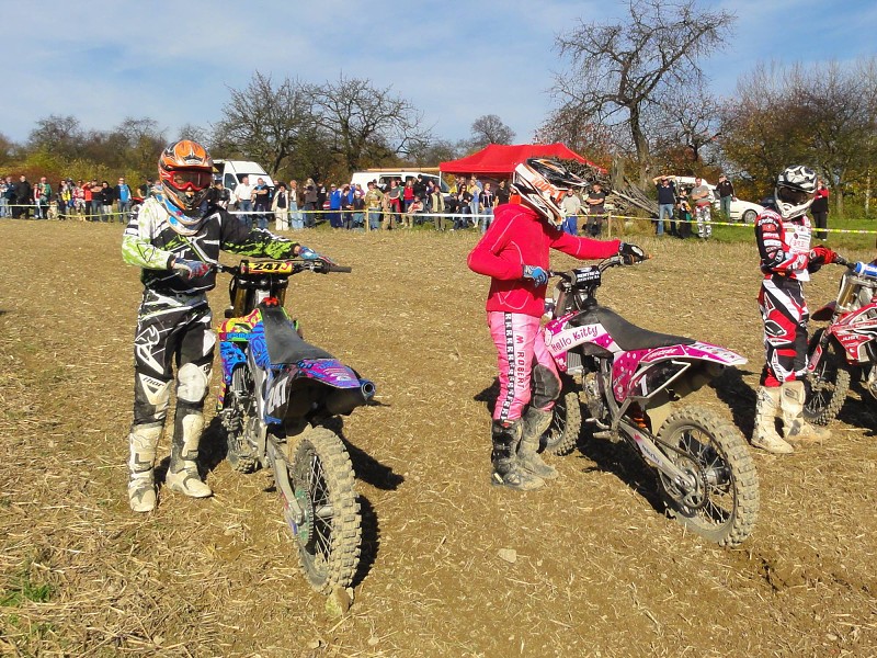 BAKOV 2013